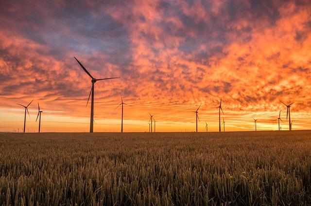 L’intelligence artificielle révolutionne l’efficacité des énergies renouvelables